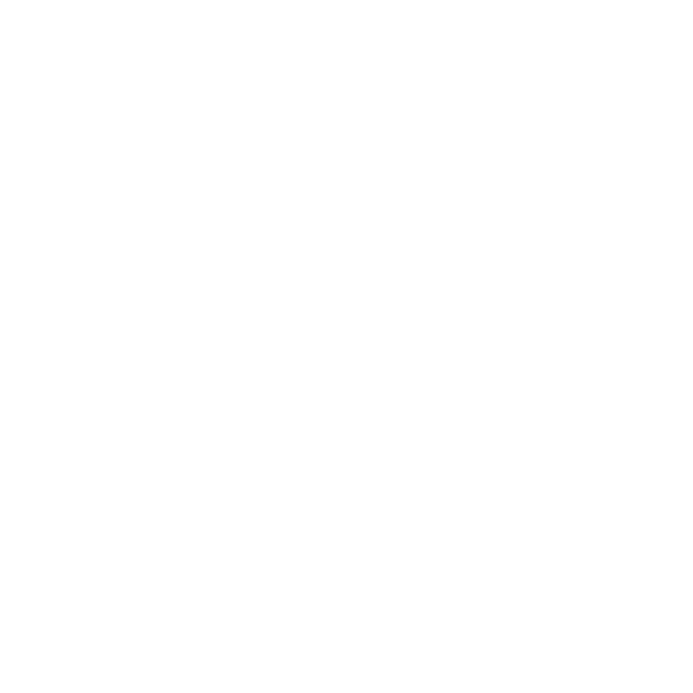 Profisse